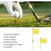 SPYMINNPOO Detachable 2 Section Golf Flagstick with Yellow Flag for Putting Green - Buy Online on SooperMarket.com