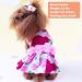 KYEESE Elegant Princess Dog Dress with Rose and Flowers Decor for Small Dogs - Medium Size | Spring Summer Dog Apparel - Buy Online on SooperMarket.com
