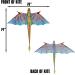 WindNSun Super Size 3D Blue Dragon Kite | 76 Wide Ripstop Nylon | Glass Eye Design - Buy Online on SooperMarket.com