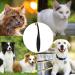 Professional Tear Stain Remover Powder & Applicator Brush for Dogs & Cats | Eye Care Comb for Pet Tear Stains - Buy Online on SooperMarket.com