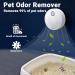 Cat Litter Deodorizer Pet Odour Remover 99% Deodorization Litter Box Odor Eliminator for Small Animals Toilet or Home Cat Urine Smell Remover Litter Trays Freshener Travel Air Purifiers A06 - Buy Online on SooperMarket.com