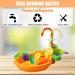 Automatic Bird Bathtub with Faucet - Ideal for Parakeets, Cockatiels, Conures, and Small Birds | SGQCAR New Orange - Buy Online on SooperMarket.com