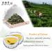 Yan Hou Tang Organic Green Oolong Tea Loose Leaf - 150g | Full Four Seasons Spring | High Mountain Raw Low Fermented | Fragrant Taste | Formosa Taiwan - Buy Online on SooperMarket.com