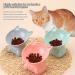3 PCS Raised Cat Bowl Elevated Cat Feeding Bowls with Stand Tilted Pet Dog Cat Bowl Anti-Tipping Anti Vomit Cat Food Bowl Feeding Water Bowl Cat Dishes 15 Tilted Raised Cat Feeder - Buy Online on SooperMarket.com