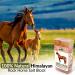 Himalayan Nature Licking Salt for Horses - 2 Pack Pink | Natural Mineral Supplement - Buy Online on SooperMarket.com
