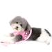 Ranphy Cat Dishes & Adjustable Dog Harness - Reflective No Pull Soft Mesh Comfortable Fit for Small Dogs - Pink - Buy Online on SooperMarket.com
