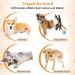 Premium Dog Harness for Hedge Aid | Comfortable & Durable Dog Gear for International Shipping - Buy Online on SooperMarket.com