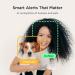 Petcube Bites 2 Lite - Interactive WiFi Pet Camera & Treat Dispenser with Sound Alerts - Buy Online on SooperMarket.com