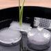 2Pcs Flower Frog Clear Plastic Ikebana Kenzan Frog Japanese Flower Holder for DIY Flower Craft - Buy Online on SooperMarket.com