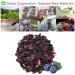 Plant Gift Ireland Spring Fruit Tea Oganic Fruit Herbal Tea All Natural Flavors Loose Leaf Roselle Grapes Blueberries Peppermint Non GMO Vegan Tea Bags Into Iced Tea & Hot Tea 70G/2.5oz - Buy Online on SooperMarket.com
