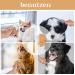 2 Pack Wooden Flea & Lice Comb for Dogs & Cats | Effective Pet Nit Removal - Buy Online on SooperMarket.com