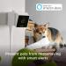 Petcube Cam Indoor Wi-Fi Pet and Security Camera with Phone App  Pet Monitor with 2-Way Audio and Video  Night Vision  1080p HD Video and Smart Alerts for Ultimate Home Security 1 camera - Buy Online on SooperMarket.com
