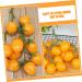 Ciieeo Simulated Small Tomatoes Models Fruit Photo Prop Faux Cherry Tomatoes Ornament Lifelike Fruit Fake Cherry Tomatoes for Decor Home Fruit Ornament Artificial Foam Fake Fruit Yellow 4.00X2.00X2.00CM - Buy Online on SooperMarket.com