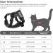 Adjustable Reflective Black XL Cat Harness and Leash Set - Escape Proof Vest for Cats and Dogs - Buy Online on SooperMarket.com