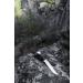 Buck Knives 119 Special Hunting Knife | 6 420HC Blade | Black Phenolic Handle - Buy Online on SooperMarket.com