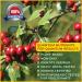 Quantum Blood Pressure Support 60 Caps - Natural Hypertension Relief - Buy Online on SooperMarket.com