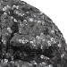 AIBEARTY Women's Sparkly Sequin Beret Hat - Fashionable Stretch Beanie Cap for Party, Club, Halloween in Black - Buy Online on SooperMarket.com