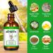 Natural Antibiotics for Cats Cat Antibiotics- Cat Multivitamin is anti-bacterial effect antibiotics for cats Supports Immune & Cats Allergy Relief Health Supplies Cats UTI Antibiotics(60ml) - Buy Online on SooperMarket.com