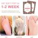 Exfoliating Foot Mask 4 Pairs Moisturizes Nourishes Foot Peel Mask Natural Ingredients Peel Away Hard Skin Calluses Renew Skin Repair And Soften Cracked Heels Feet Masks Exfoliating Socks - Buy Online on SooperMarket.com