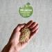 Biokats Natural Care Fine Clumping Cat Litter - Eco-Friendly & Compostable Plant Fibers - 8L Bag | International Shipping - Buy Online on SooperMarket.com