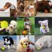 Laroo Dog Toys - Durable Natural Rubber Squeaker Football for Small & Large Dogs (6.5cm Green) - International Shipping Available - Buy Online on SooperMarket.com