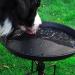 EfuturTime Large Metal Bird Bath - 30 cm x 90 cm Adjustable Height Winterproof & Frost-Proof Perfect for Garden Feeding - Black - Buy Online on SooperMarket.com