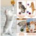 Molain Cat Crinkle Ball Toys 20 Pieces Colorful Cat Toy Balls Cat Play Toy Indoor Cats Interactive Ball Toy Large Ball Toy for Cat Kitten 6 cm/2.36 inch - Buy Online on SooperMarket.com