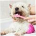 Kisangel 30 pcs Dual-head Handheld Clean Supplies Cat Nylon Oral Cleaning Brush Small Pet Puppy Portable 1 count (Pack of 1) Assorted Colorx3pcs - Buy Online on SooperMarket.com