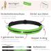 Leisengr n Jogging Line for Small Dogs (Up to 10 kg) | 135-185 cm Adjustable Freehand Leash with Belly Belt | Black Set for Jogging Enjoyment - Buy Online on SooperMarket.com