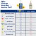 Promise Organic Arnica Gel 340ml (12oz) Instant Soothing Muscle & Joint Pain Relief Reduces Inflammation Arthritis Swelling Joint Pain Topical Organic Arnica Montana Made in Canada 340 ml (Pack of 1) - Buy Online on SooperMarket.com