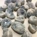 1PC Random Natural Raw Blue Celestite Quartz Crystal Cluster Stones Specimen Home Decoration Crafts Ornament Druzy Geode FZUGEDRLI (Size : 1pc Random 20 50g) - Buy Online on SooperMarket.com