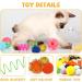 QUOZUO Cat Toys Kitten Toys Assortments 32 Packs Interactive Cat Toy Variety Pack for Kitty Cat Wand toy Cat Crinkle Balls with Bells Cat Spring Toy Catnip Toys for Indoor Cats Kittens - Buy Online on SooperMarket.com