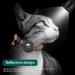 Reflective Airtag Cat Collar with Bell | Waterproof Holder Case for Apple Airtag | Breakaway Safety Buckle | Orange - Ideal for Cat or Kitten - Buy Online on SooperMarket.com