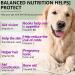 Dog Multivitamin Chewable Supplements 15 in 1. Hip Joint Skin Coat Skin Health Gut Health and Heart Health. Digestion & Immune System for All Ages All Breeds Dogs x150 Chews. Duck Flavor. - Buy Online on SooperMarket.com