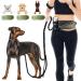 Jogging lines for dogs heelay belt pocket to run jogging and normal dog leash for large medium -sized little small with double handle belly belt with reflective seams army green
