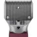 Masterclip Cordless Horse Clipping Combo - HD Roamer Heavy Duty with Showmate Mark II Trimmer - Available in 3 Colourways (with Blue Showmate) - Buy Online on SooperMarket.com