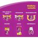 Whiskas Cat Milk for Cats from 6 weeks - Delicious Snack for a Happy Cat - Lactose-free and Easily Digestible - Different Sizes Milk 3 l (Pack of 1) - Buy Online on SooperMarket.com