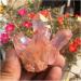 Natural Crystal Rough Beautiful Rose Flame Aura Quartz Crystal Cluster Specimen 60-70G - Buy Online on SooperMarket.com