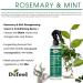 Difeel Rosemary & Mint Strengthening Leave-In Conditioning Spray with Biotin 6 oz - Natural Hair Growth Treatment - Buy Online on SooperMarket.com