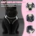 Adjustable Cat Dishes Set - Breathable Mesh & Soft Lining for Cats Kittens Dogs & Puppies (XS Black) - Ideal for International Shipping - Buy Online on SooperMarket.com