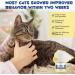 Cjztp Cat Calming Diffuser Enhanced Cat Pheromones Diffuser Starter Kit for 30 Days Supply Cat Anxiety Stress Relief to Reduce Fighting Scratching 48ml - Buy Online on SooperMarket.com