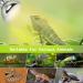 REPTI HOME Reptile Heat Lamp 125W Full Spectrum UVA UVB Sun Lamp Simulate Natural Sunlight Heat Lamp Bulb for Reptile and Amphibian Sun Light 125W - Buy Online on SooperMarket.com