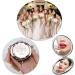 5-Piece Bachelorette Party Makeup Mirror Set with Hair Ties - Bride, Maid of Honor, Bridesmaid Gift - Champagne - Buy Online on SooperMarket.com