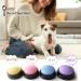 Dog Buttons Talk Training Dog Buttons for Communication Pet Talking Training Answer Buzzer 30 Second Record &Playback Funny Gift for School Study Office Home (Packs-4) - Buy Online on SooperMarket.com