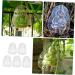 SUPVOX 5pcs Vegetable Fruits Adorable Growing Mini Growth Pear Statue Fruit Gardening Melon - Buy Online on SooperMarket.com