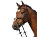 Collegiate Syntovia+ Padded Raised Grackle Bridle Black Pony