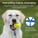 PetSafe Gentle Guide Collar - Beige Medium | Includes Training DVD | International Shipping - Buy Online on SooperMarket.com