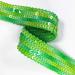 Green Multi Sequin Ribbon Trim 7/8 inch - 2 Yards | YD-TM-971 | Sparkly Embellishment for Crafts & Sewing - Buy Online on SooperMarket.com