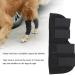 Stability Support Dog Leg Support Neoprene Pet Knee Guard Stabilize Arthritis for Dog Leg Guard(Black S) - Buy Online on SooperMarket.com