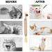 HBINGL Silvervine Chew Sticks for Cats 4 pcs Brown Catnip Chew Sticks for kitten Cat Teeth Nip Cleaning Teeth Chew Catnip Toys Natural Cat Teeth Nip Cleaning Catnip for Indoor Cats - Buy Online on SooperMarket.com
